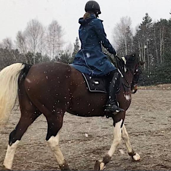 Meet your Posher, Bridget - Picture 1 of 1